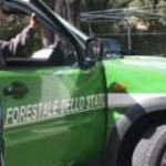 forestale
