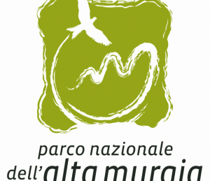 Parcomurgia-logo-696x696-696x600